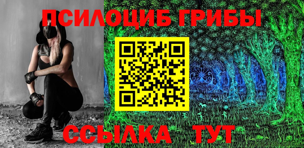 Клинцы  Галлюциногенные грибы Magic Shrooms  Вход с VPN 
